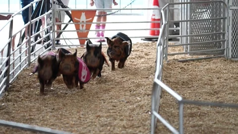 Houston Rodeo Carnival 스톡 동영상 307210722