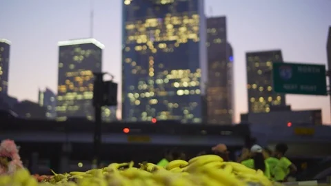 Houston Skyline Stock Footage 122109253