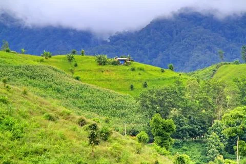 Hovel on mountains mist Stock Photos