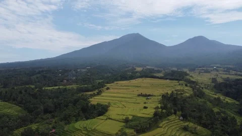 Hover over Jatiluwih landscape Stock Footage 329867101