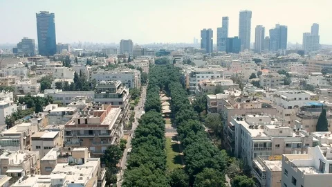Hover,drones,top view. city, tel aviv Roofs,  avenue of trees in the city 스톡 동영상 125461973