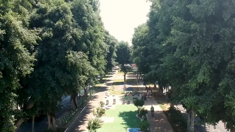 Hover,drones,top view. city, tel aviv Roofs,  avenue of trees in the city 스톡 동영상 125462008