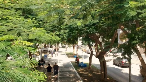 Hover,drones,top view. city, tel aviv Roofs,  avenue of trees in the city 스톡 동영상 125462094