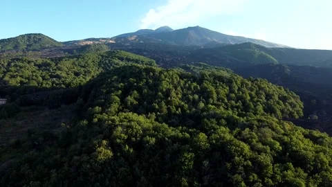 Hovering above Mt. Etna's stunning forests Stock-Footage 168317919