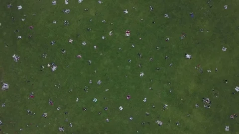 Hovering above people lounging in the park Stock Footage