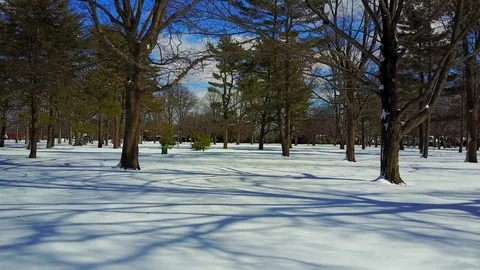 Hovering Above the Snow Stock Footage