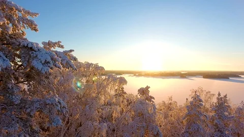 Hovering above winter trees background frozen lake and sunset Stock Footage 101971592