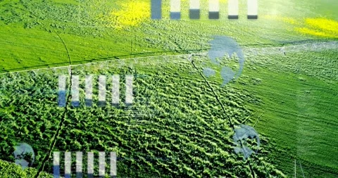 Hovering drone capturing green crop canopy at rural farm, showing HUD overlays Stock Footage 331197800