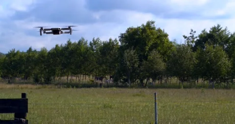 Hovering drone near field Stock Footage 196911302