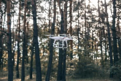 Hovering drone taking pictures in forest Stock Photos