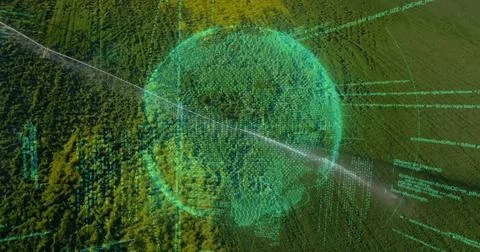 Hovering holographic data sphere above high-altitude forest canopy, with イラスト素材