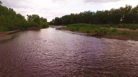 Hovering Low Over River Looking at a Log Color Corrected Stock Footage 98846531