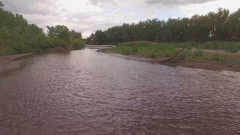 Hovering Low Over River Looking at a Log Stock Footage 98846601