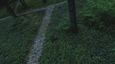 Hovering over the forest 2 Vídeos de archivo 89639832