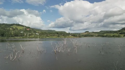 Hovering over forest submerged by river dam. Canoas river. Stock Footage 253367805