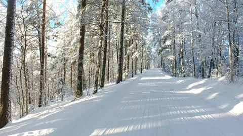 Hovering over the road towards horizon in winter wonder land Stock Footage 101971621