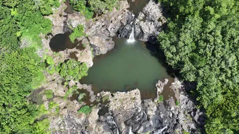 Hovering - panning from top view to forward view along the Tamarind Falls Stock Footage 275145383