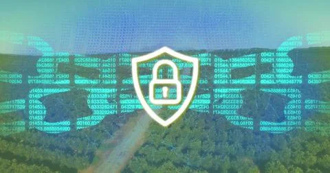 Hovering shield-shaped badge projecting digital code overlay above dense forest 库存照片