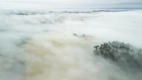 Hovering still above clouds moving over wheat field and trees. Stock Footage 234638734