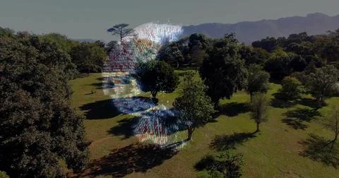 Hovering translucent 3D hologram face casting pixel glow across park meadow, Foto stock