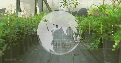 Hovering translucent globe showing interface icons above greenhouse mat walkw Foto stock