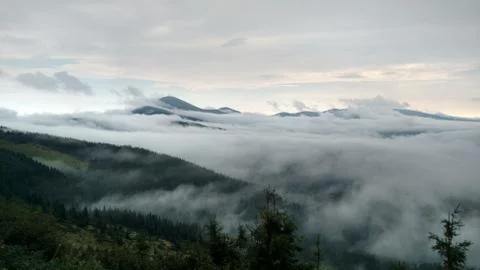 Hoverla mountain at fog Stock Photos