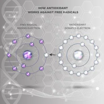 How antioxidant works Stock Illustration