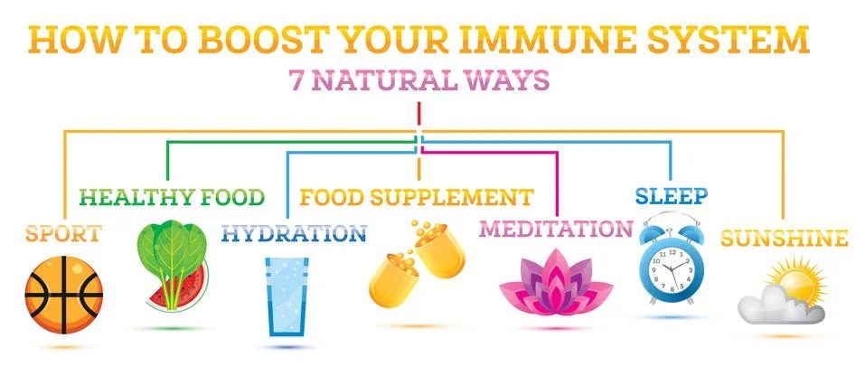 How to Boost Your Immune System. Infographic Elements. Stock Illustration