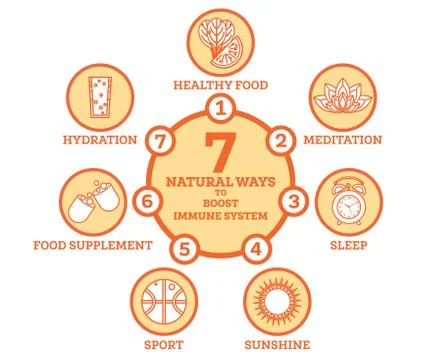 How to Boost Your Immune System. Infographic Elements. Stock Illustration