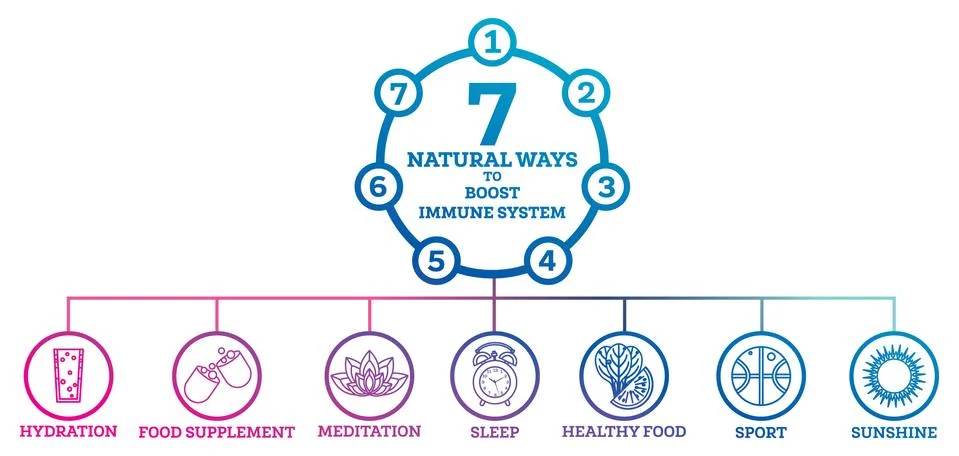How to Boost Your Immune System. Infographic Elements Isolated on White. Illustrazione stock