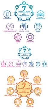 How to Boost Your Immune System. Infographic Elements Isolated on White. Stock Illustration