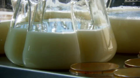 How to breed yeast in the lab part 6 of 8 Stock Footage 45527367