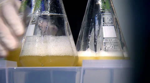 How to breed yeast in the lab part 4 of 8 Stock Footage 45527390