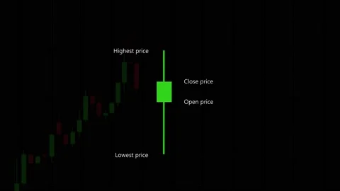 How chart candlesticks work - animation 스톡 동영상 199592015
