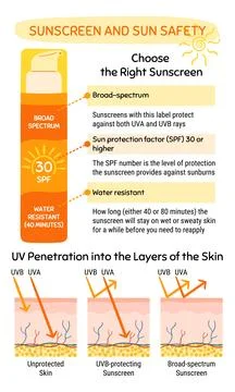 How to choose and apply sunscreen infographic. UV penetration into the laye.. Stock Illustration