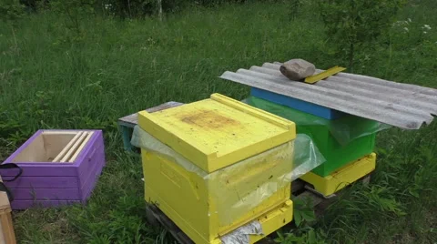 How to combine the bee hives Stock Footage 51172642