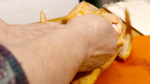 How to dismember a bird Stock Footage 78875219