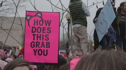How Does This Grab You Protest - Womens March Stock Footage 81253013