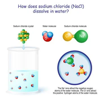 How does sodium chloride (NaCl) dissolve in water Illustration