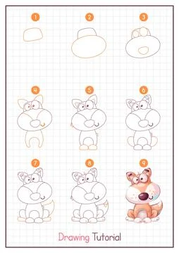 How to Draw a Fox. Step by Step Drawing Tutorial. Draw Guide. Simple Instruction Stock Illustration