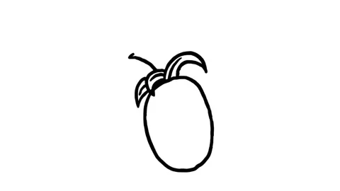 How to draw a pineapple Stock Footage 205776801