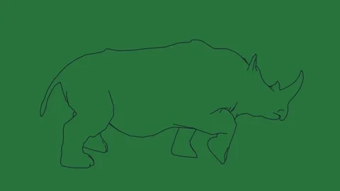 How to draw a rhino and Stock Footage 336969253