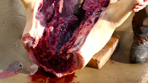 How to freshen a pork 스톡 동영상 78930645
