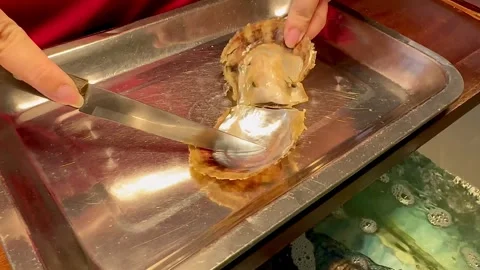 How to get pearls out of a shell. Demonstration of pearl extraction. Stock Footage 303234432
