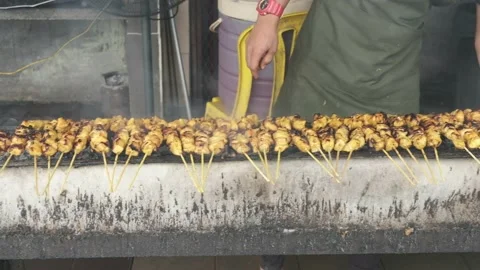 How to Grill Satay Stock Footage 139514317