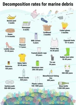 How long does it take to decompose Stock Illustration