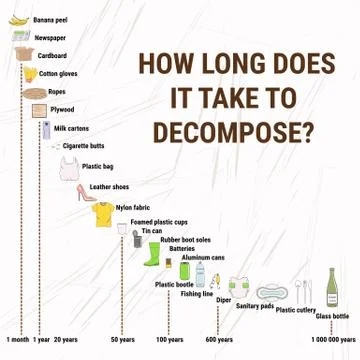 How long does it take to decompose Stock Illustration