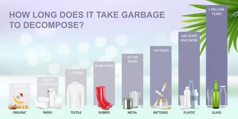 How long does it take garbage to decompose in the environment, vector Stock Illustration