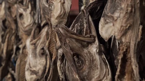 How to made Sun dried fish, preserved food on the beach Stock Footage 101572171