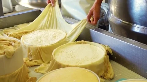 How make cheese Video stock 81999398